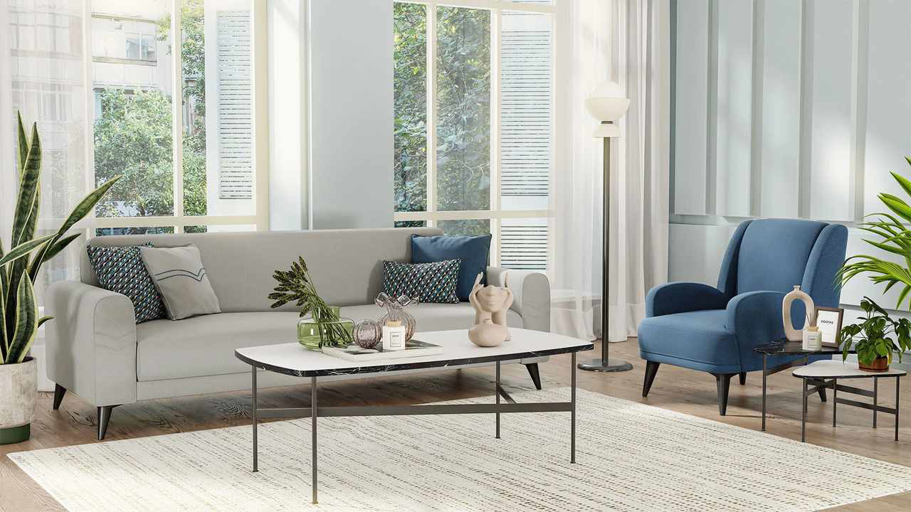 Best Sofa Color For Living Room