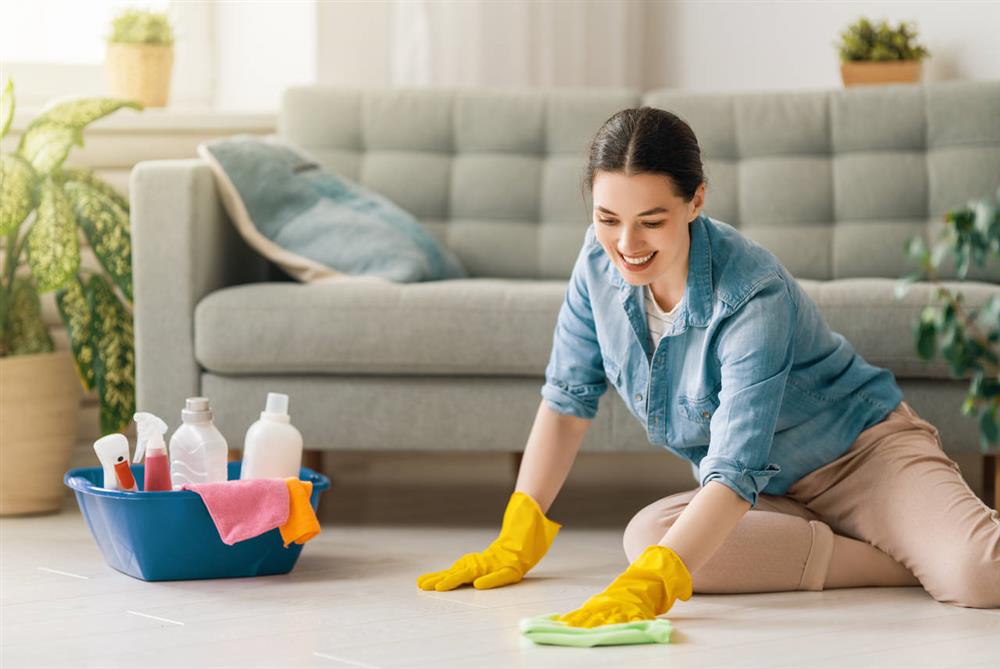 woman doing cleaning the house