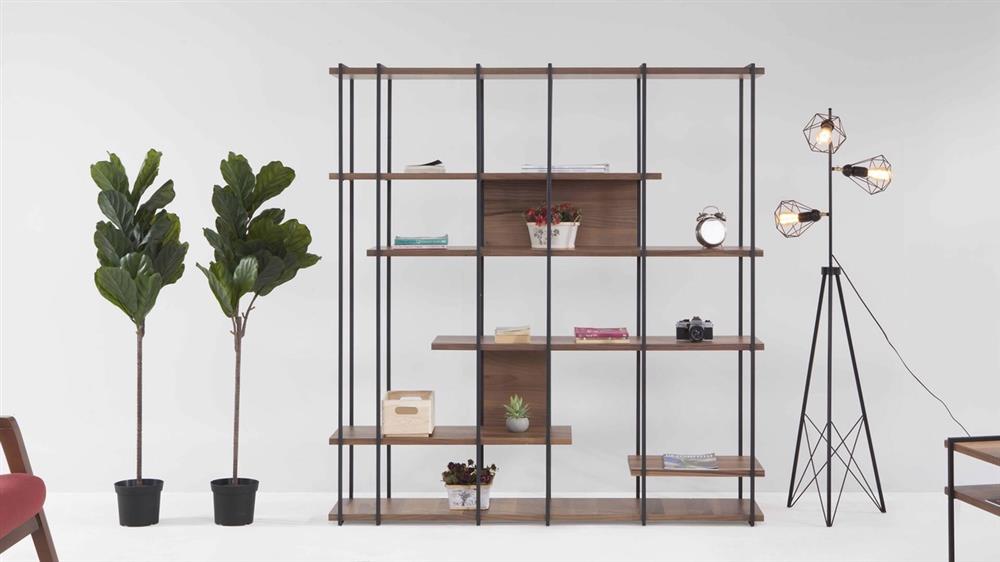 Large bookcase and two house plant near it