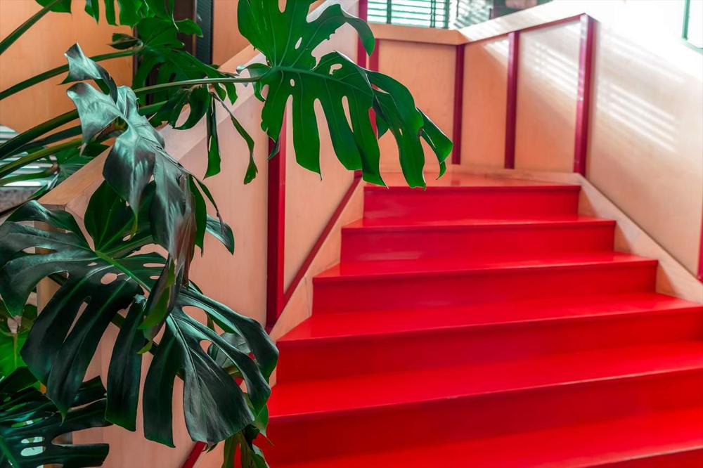 kırmızı merdivenler