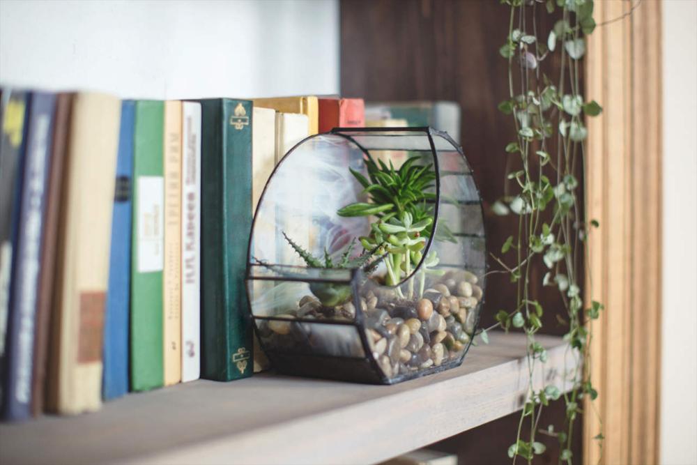plants for feng shui home office library