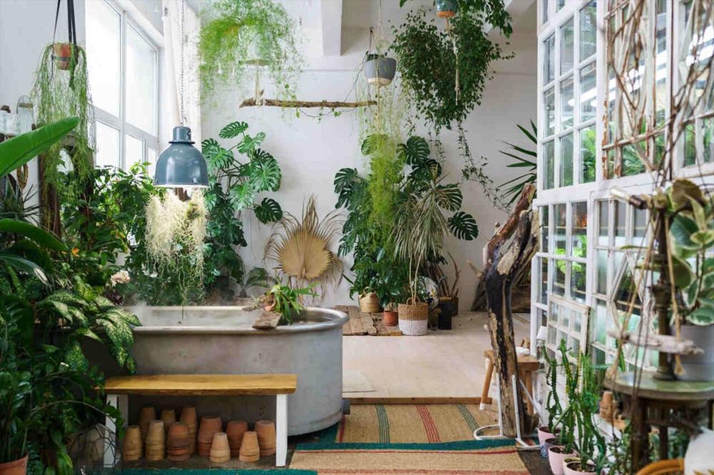How to Transform Your House: 8 Indoor Gardening Ideas - Doğtaş